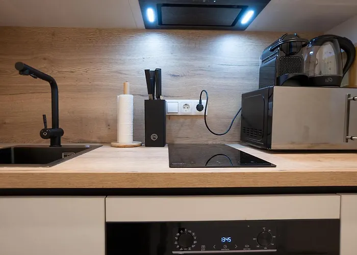 Stylish 1-bedroom With A Terrace Appartement Vienne